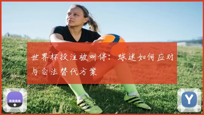世界杯投注被叫停：球迷如何应对与合法替代方案