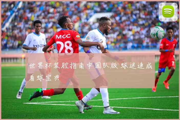 世界杯装腔指南中国队版 球迷速成看球宝典