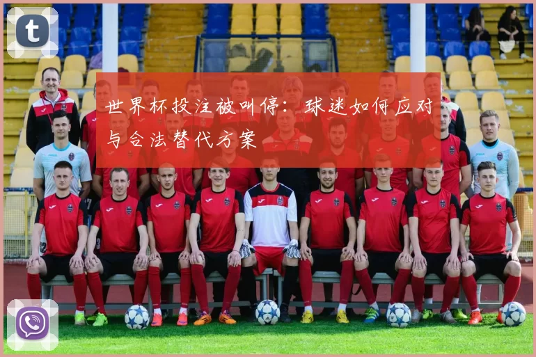 世界杯投注被叫停：球迷如何应对与合法替代方案