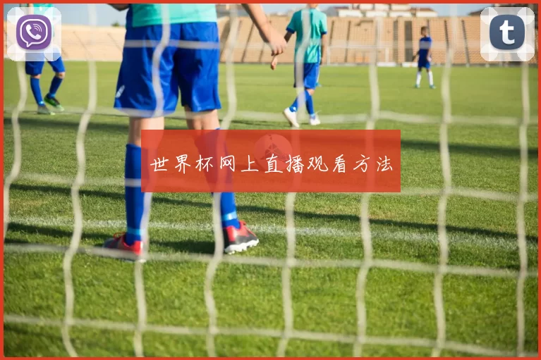 世界杯网上直播观看方法