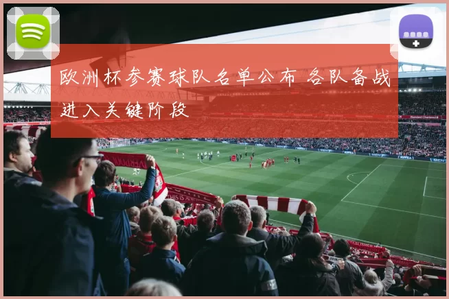 欧洲杯参赛球队名单公布 各队备战进入关键阶段