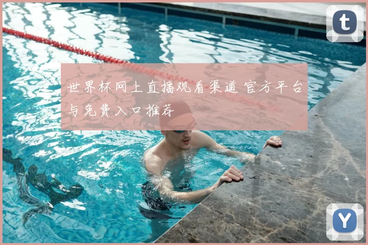 世界杯网上直播观看渠道 官方平台与免费入口推荐