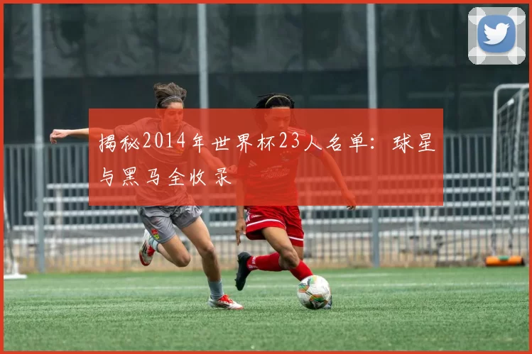 揭秘2014年世界杯23人名单：球星与黑马全收录