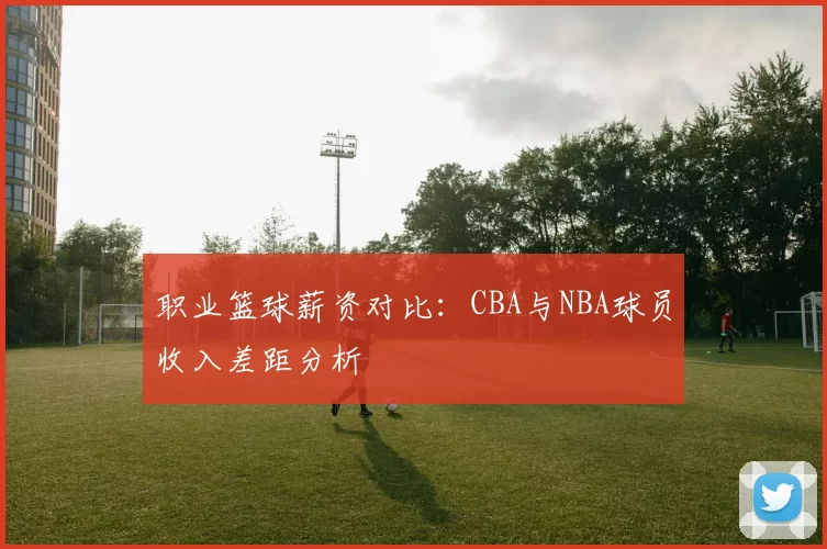 职业篮球薪资对比：CBA与NBA球员收入差距分析