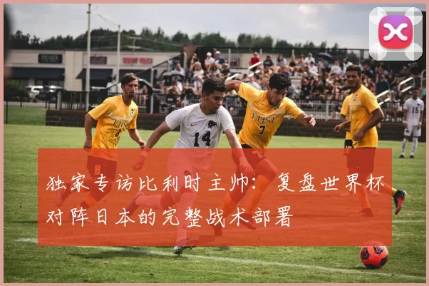 独家专访比利时主帅：复盘世界杯对阵日本的完整战术部署