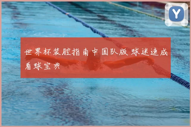 世界杯装腔指南中国队版 球迷速成看球宝典