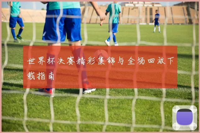 世界杯决赛精彩集锦与全场回放下载指南