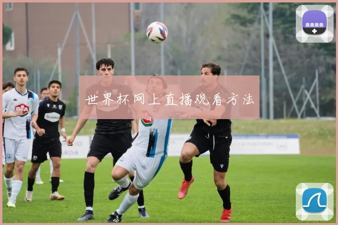 世界杯网上直播观看方法