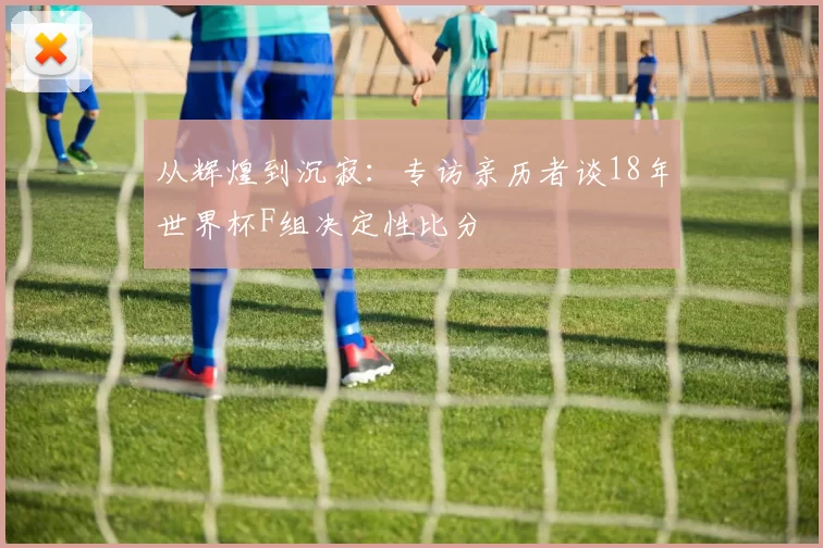 从辉煌到沉寂:专访亲历者谈18年世界杯F组决定性比分