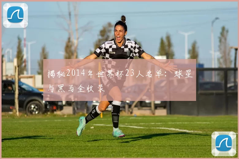 揭秘2014年世界杯23人名单：球星与黑马全收录